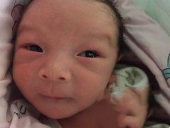 Ⱦɫ����λ����ɹ�ֲ������������̥' /></a></div>
		<div class=